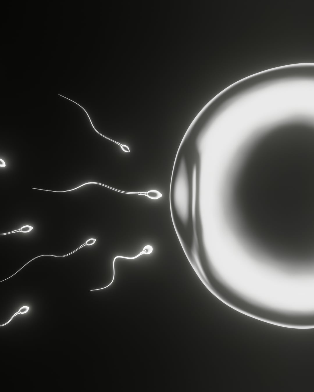 Fertility concept - sperm and egg representing assisted reproduction and comprehensive support